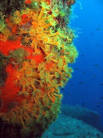 mare nostrum